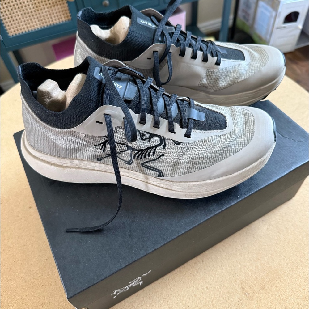 Arc'teryx Sylvan Pro M